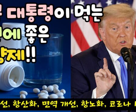 불면에 좋은 영양제