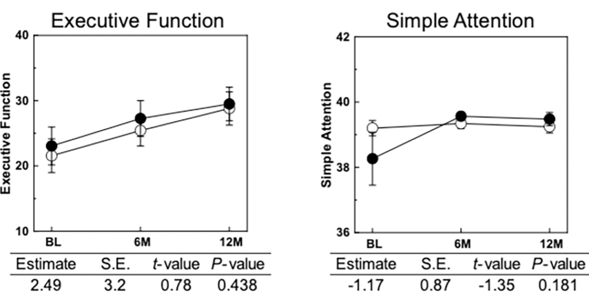 기본적인 주의력과 집행기능