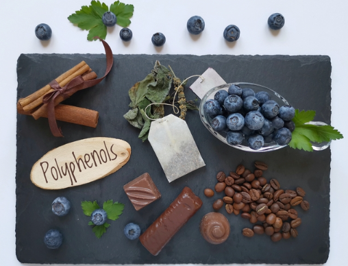 폴리페놀이 많은 음식